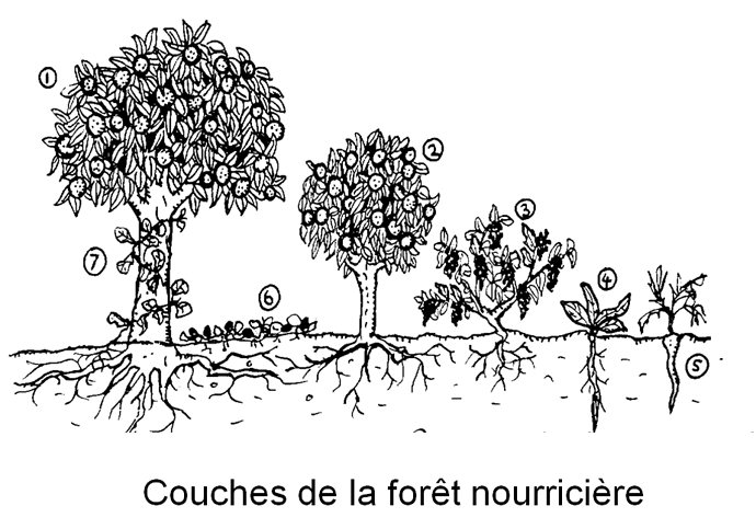 FN-Couches