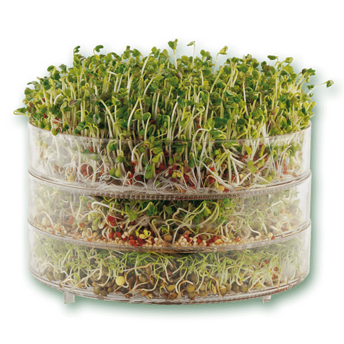 biosnacky-classic-sprouter-3tiers-with-sprouts
